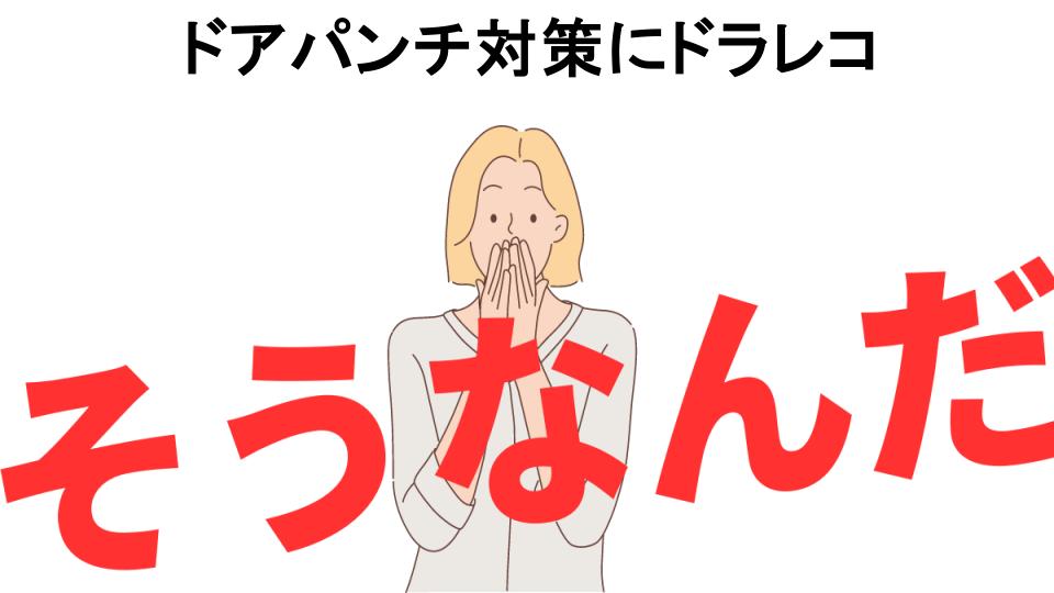 意味ないと思う人におすすめ！ドアパンチ対策にドラレコの代わり